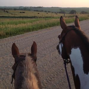 Meet your Posher, Lindsey